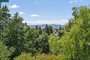 732 Trent Terrace, Danville, CA 94506 - Photo 71
