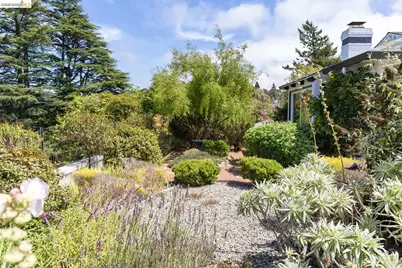 1064 Overlook Rd, Berkeley, CA 94708 - Photo 47
