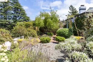1064 Overlook Rd, Berkeley, CA 94708 - Photo 47