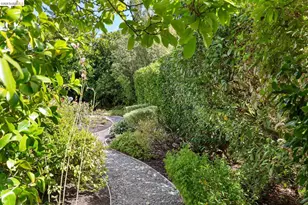 1064 Overlook Rd, Berkeley, CA 94708 - Photo 45