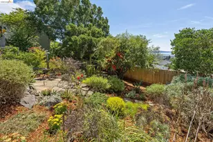 218 Cambridge Ave, Kensington, CA 94708 - Photo 81