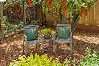 218 Cambridge Ave, Kensington, CA 94708 - Photo 77