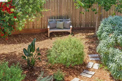 218 Cambridge Ave, Kensington, CA 94708 - Photo 71