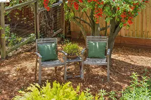 218 Cambridge Ave, Kensington, CA 94708 - Photo 79