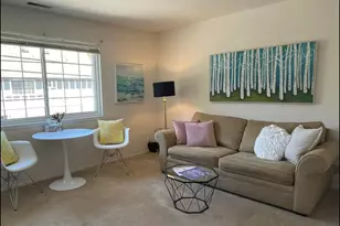 301 Poplar St, Mill Valley, CA 94941 - Photo 5