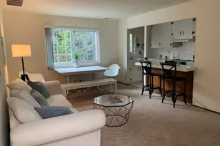 301 Poplar St, Mill Valley, CA 94941 - Photo 19