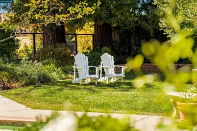 529 Carleton Way, Alamo, CA 94507 - Photo 63