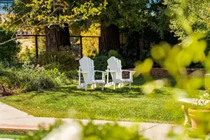 529 Carleton Way, Alamo, CA 94507 - Photo 63