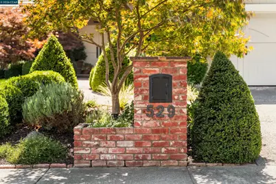 529 Carleton Way, Alamo, CA 94507 - Photo 5