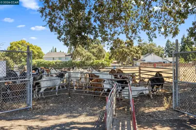 1320 Hookston Rd, Concord, CA 94518 - Photo 39