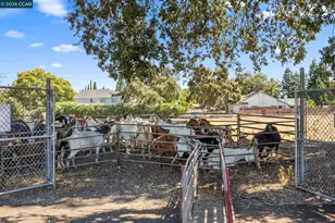 1320 Hookston Rd, Concord, CA 94518 - Photo 39