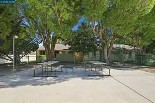 4260 Clayton Rd, Concord, CA 94521 - Photo 31