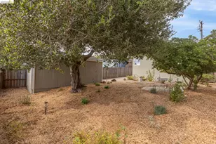 2533 Rampart St, Oakland, CA 94602 - Photo 47