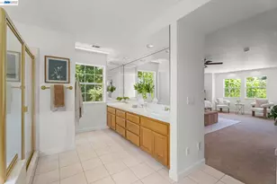 313 Diamond Ct, Pleasanton, CA 94566 - Photo 19