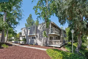508 Allegheny Dr, Walnut Creek, CA 94598 - Photo 69