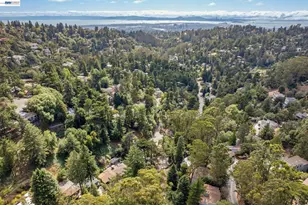 29 Eastwood Ct, Oakland, CA 94611 - Photo 59