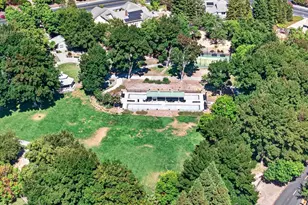 891 Livorna Rd, Alamo, CA 94507 - Photo 59
