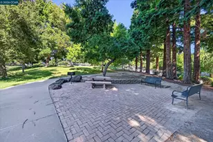 891 Livorna Rd, Alamo, CA 94507 - Photo 57