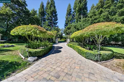 891 Livorna Rd, Alamo, CA 94507 - Photo 7