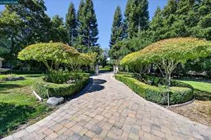 891 Livorna Rd, Alamo, CA 94507 - Photo 7