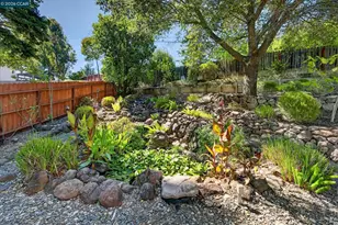 891 Livorna Rd, Alamo, CA 94507 - Photo 49