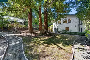 891 Livorna Rd, Alamo, CA 94507 - Photo 55