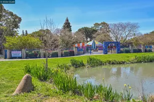 3712 Los Flores Ave, Concord, CA 94519 - Photo 31