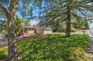 1630 3rd Ave, Walnut Creek, CA 94597 - Photo 41