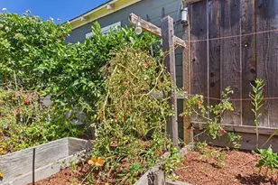 3621 Rhoda Ave, Oakland, CA 94602 - Photo 55