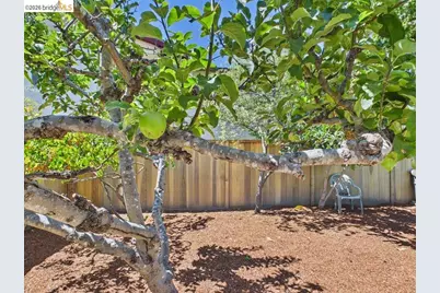 3621 Rhoda Ave, Oakland, CA 94602 - Photo 49
