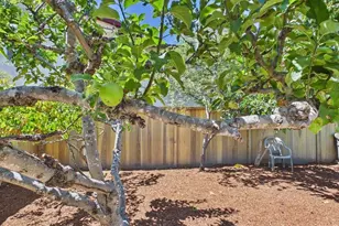 3621 Rhoda Ave, Oakland, CA 94602 - Photo 49
