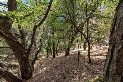 0 Mendenhall Rd, Oakland, CA 94605 - Photo 15