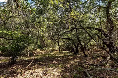 0 Mendenhall Rd, Oakland, CA 94605 - Photo 19