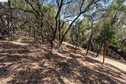 0 Mendenhall Rd, Oakland, CA 94605 - Photo 11