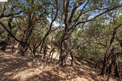 0 Mendenhall Rd, Oakland, CA 94605 - Photo 23