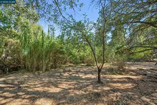3386 Cowell Rd, Concord, CA 94518 - Photo 85