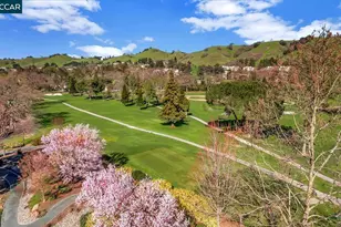 3324 Ptarmigan Dr, Walnut Creek, CA 94595 - Photo 47