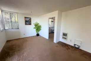 555 Pierce St, Albany, CA 94706 - Photo 23