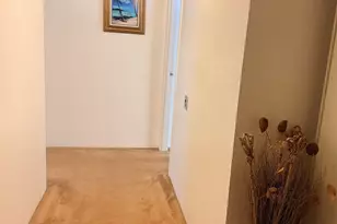 555 Pierce St, Albany, CA 94706 - Photo 19