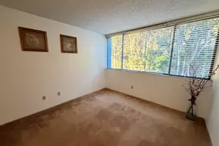 555 Pierce St, Albany, CA 94706 - Photo 9