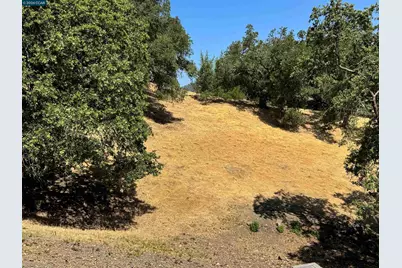 18 Diablo Oaks Way, Lafayette, CA 94549 - Photo 11