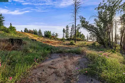 6479 Gregory Ln, Paradise, CA 95969 - Photo 9