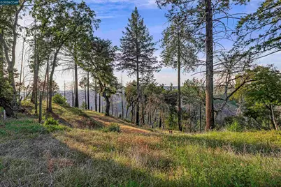 6479 Gregory Ln, Paradise, CA 95969 - Photo 7