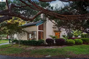 918 Ironwood Rd, Alameda, CA 94502 - Photo 53