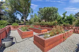 35596 Linda Dr, Fremont, CA 94536 - Photo 45