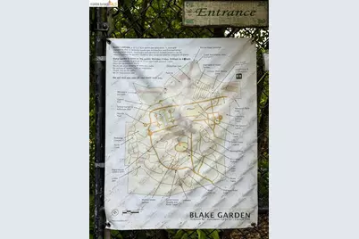 355 Arlington Ave, Berkeley, CA 94707 - Photo 75