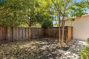 616 Minert Rd, Walnut Creek, CA 94598 - Photo 45