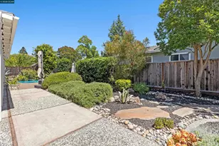 616 Minert Rd, Walnut Creek, CA 94598 - Photo 43