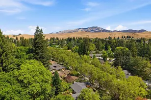 559 Old Orchard Dr, Danville, CA 94526 - Photo 53