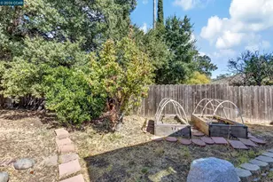 1162 Francine Ct, Concord, CA 94518 - Photo 21